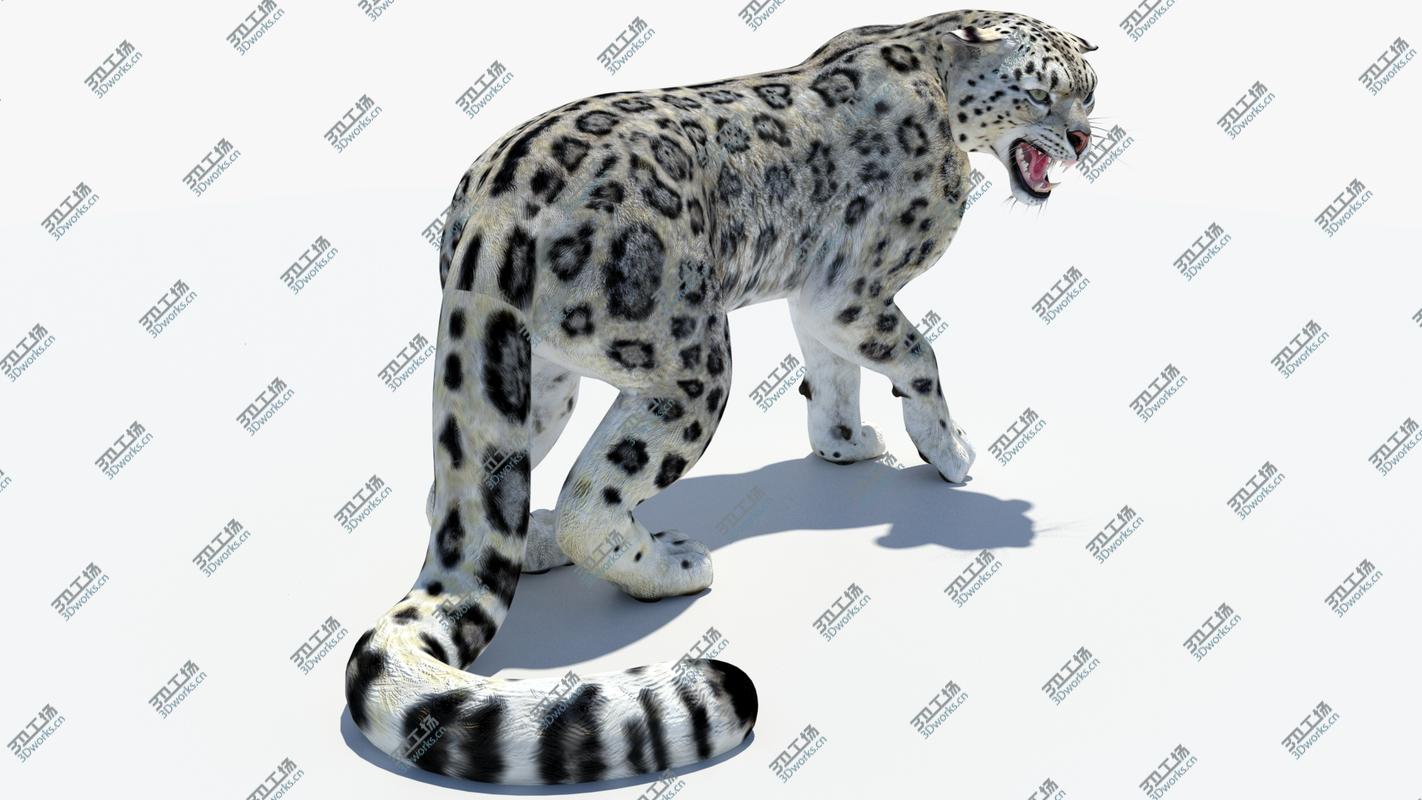 images/goods_img/2021040161/Snow Leopard 2 Animated 3D model/3.jpg